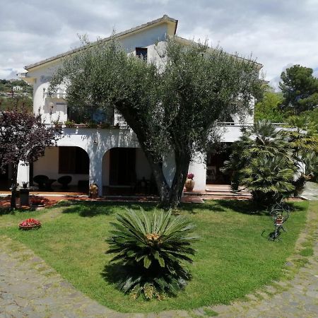 Villa Livia Villammare Dış mekan fotoğraf