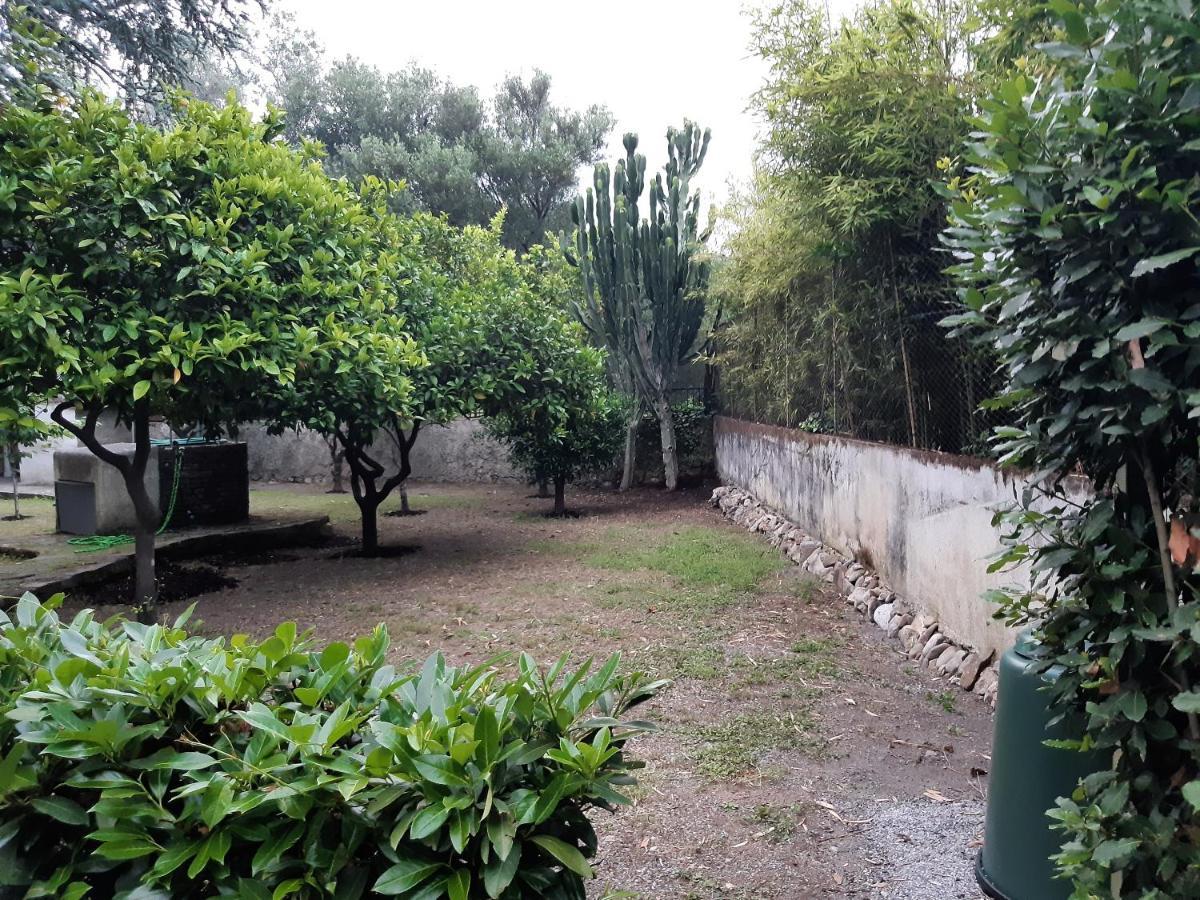 Villa Livia Villammare Dış mekan fotoğraf