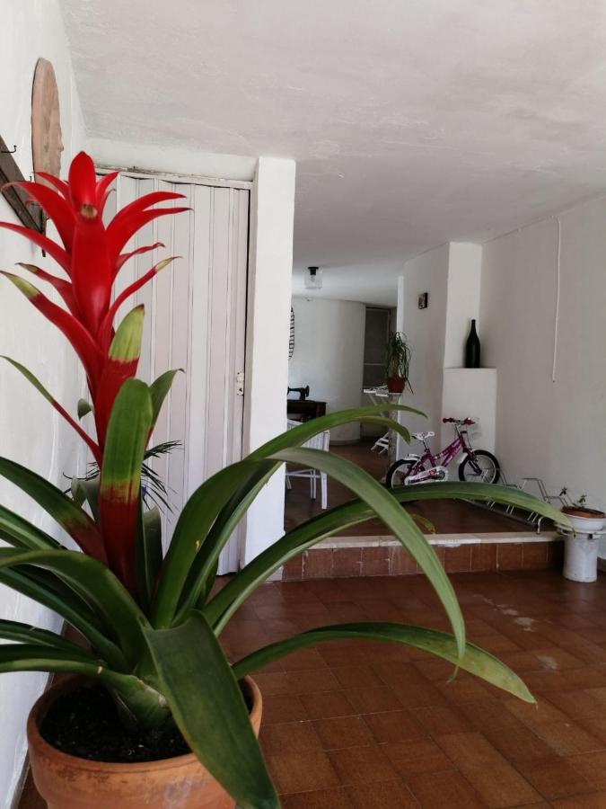 Villa Livia Villammare Dış mekan fotoğraf