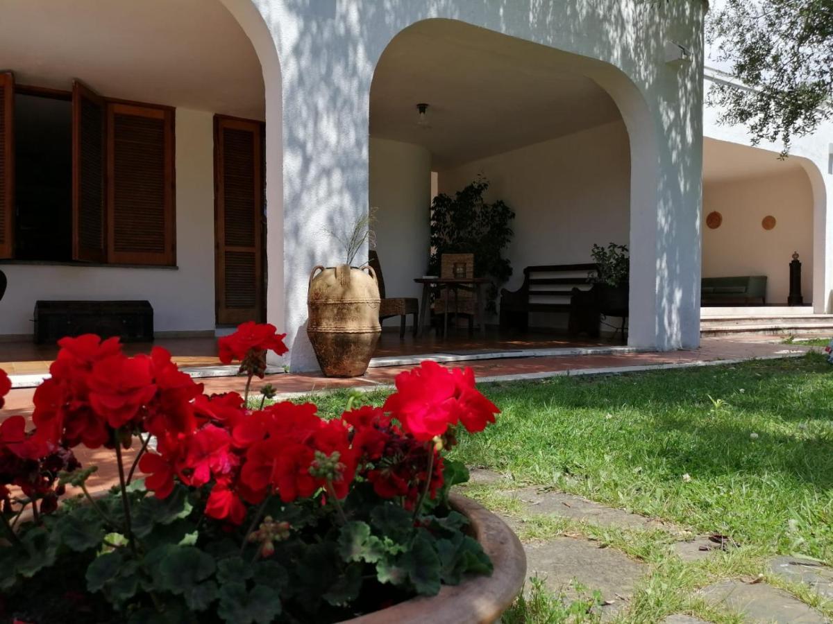 Villa Livia Villammare Dış mekan fotoğraf
